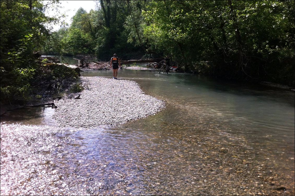 Réserve Naturelle du Haut Rhône, renseignez vous bien sur le niveau d'eau avant d'y pénétrer.