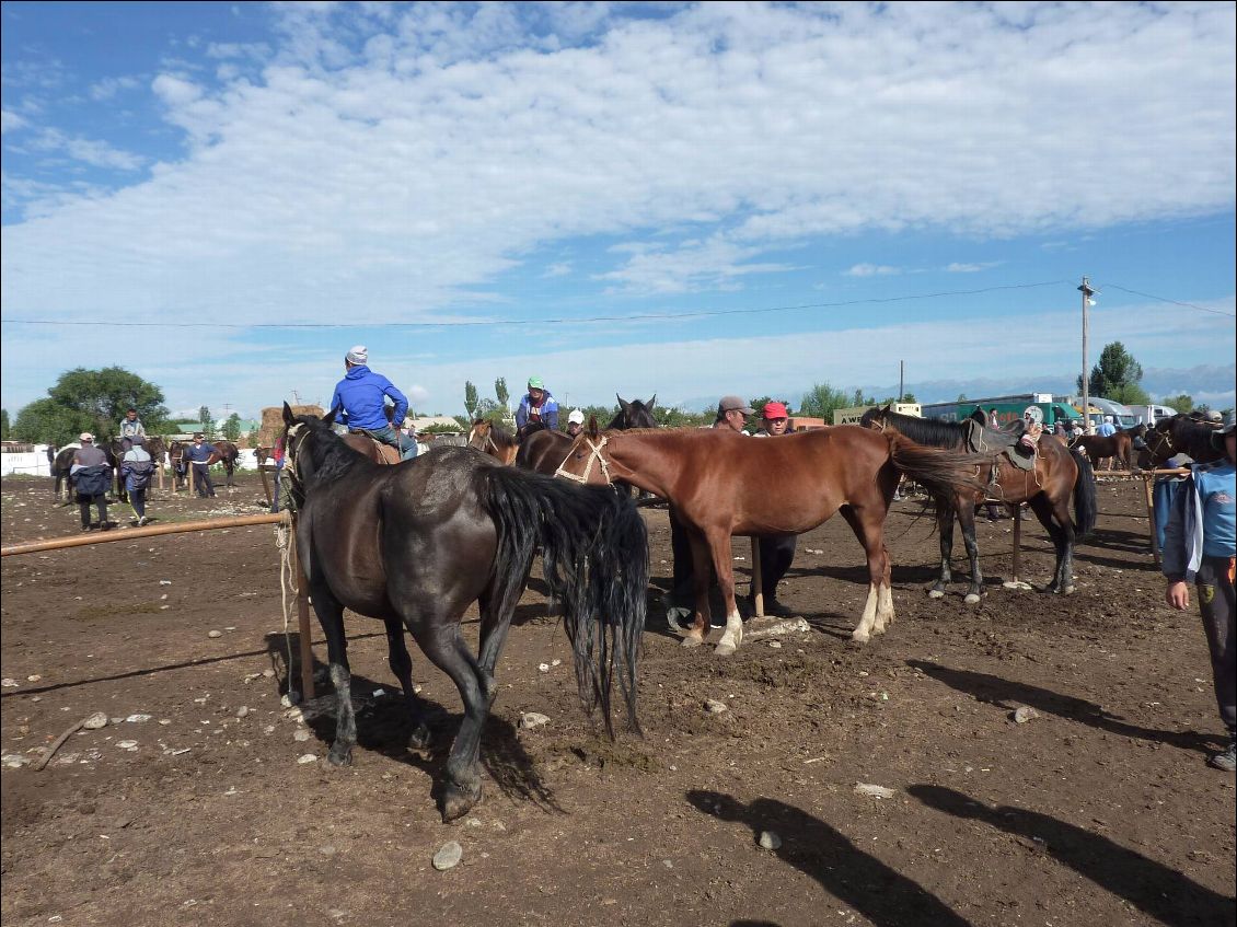 Karakol - le marché aux bestiaux - le plus grand du Kirghizistan, paraît-il.