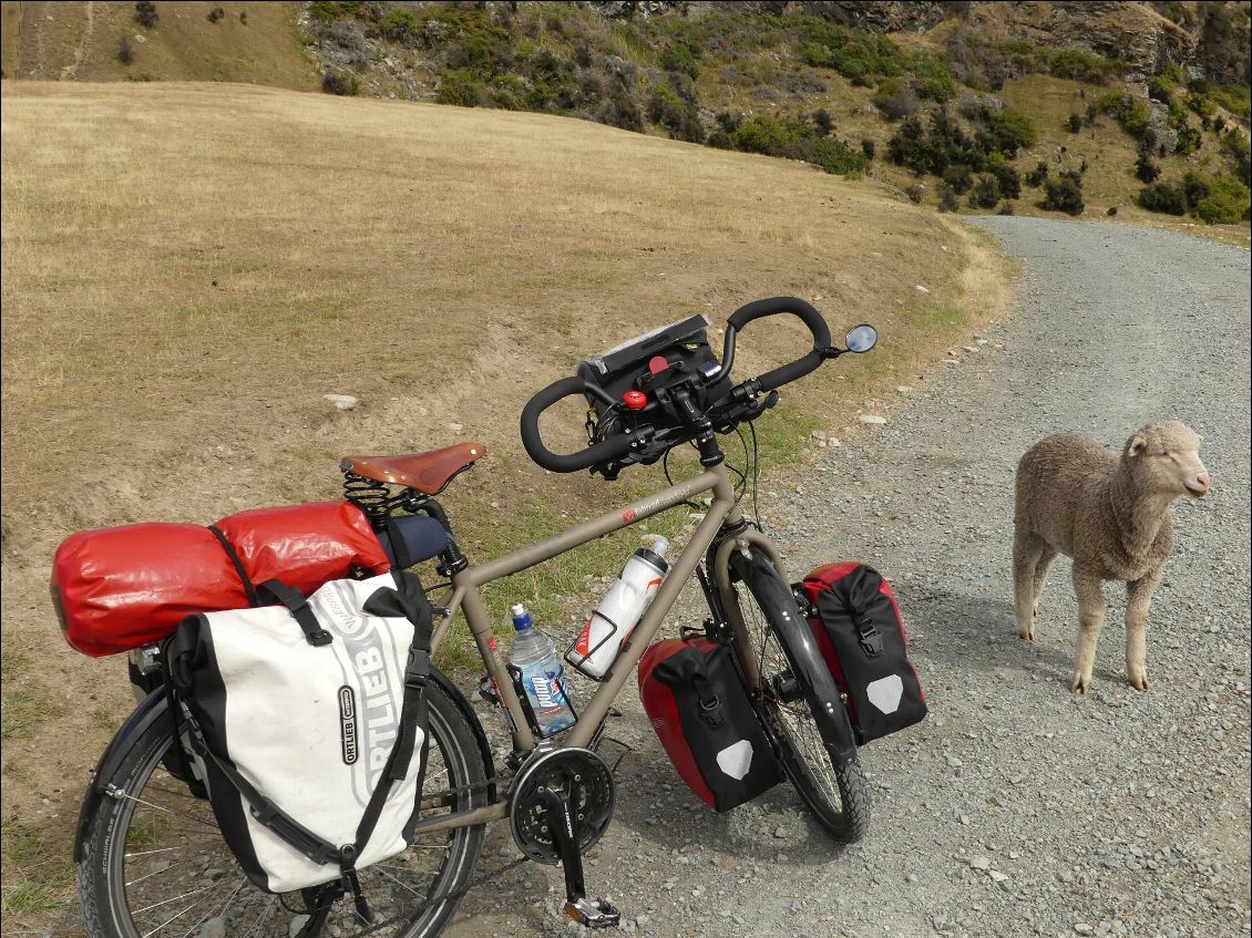 Couverture de Nouvelle Zélande, l île du sud en vélo et en trichant