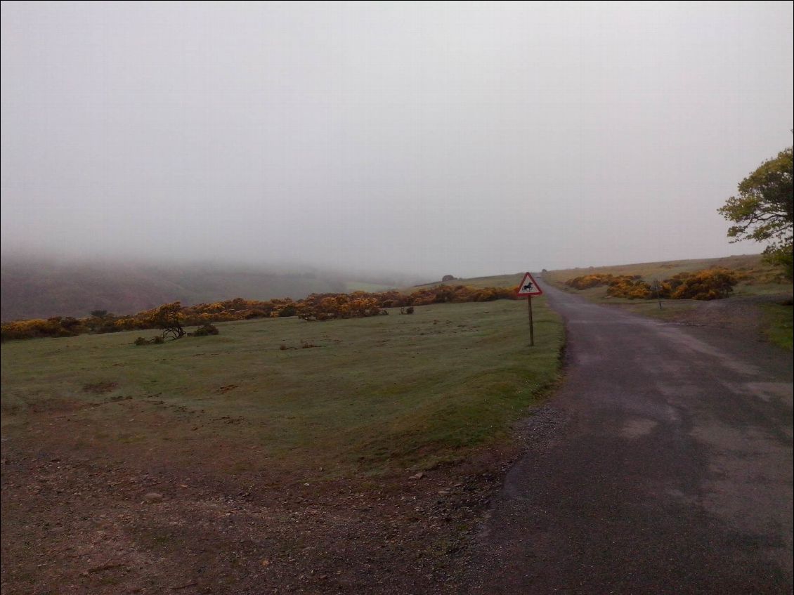 The british fog.