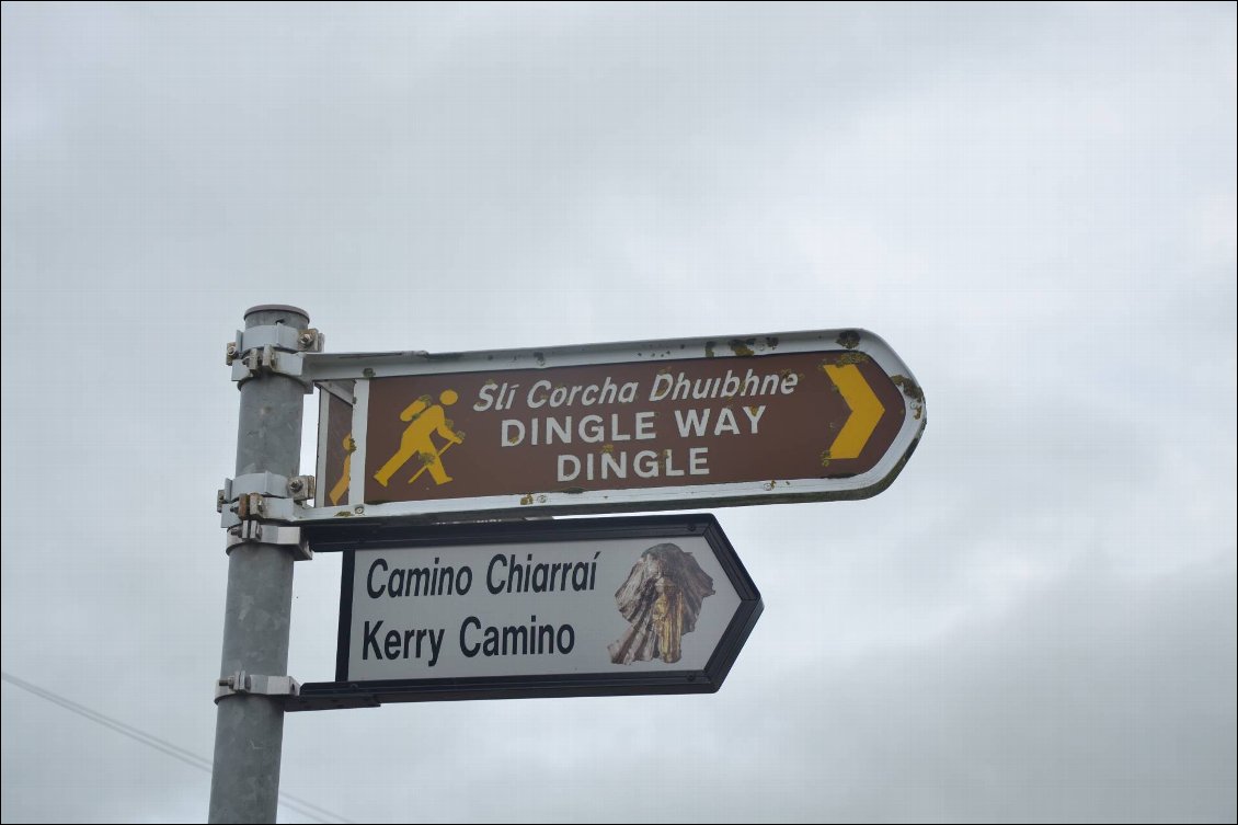 Dingle Way