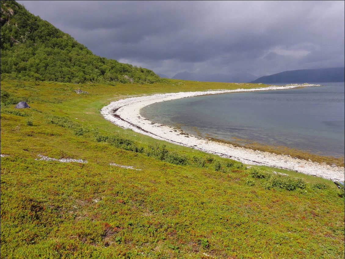 Ile de Rigvassøya : un joli bivouac ; les phoques nagent dans la baie.