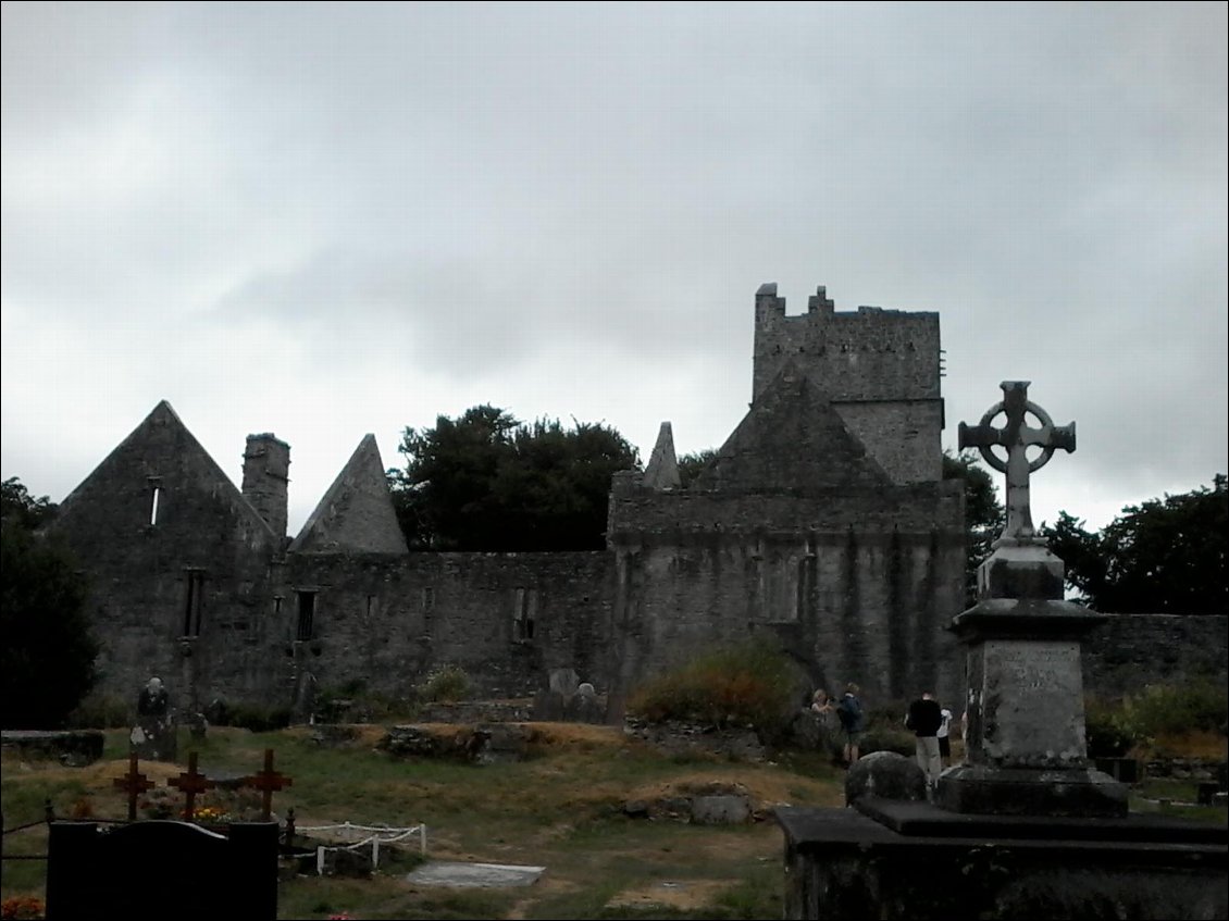 Muckross abbey : monastère franciscain du XVème siècle.