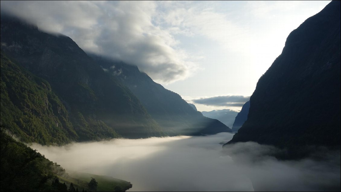 Le fjord dans la brume