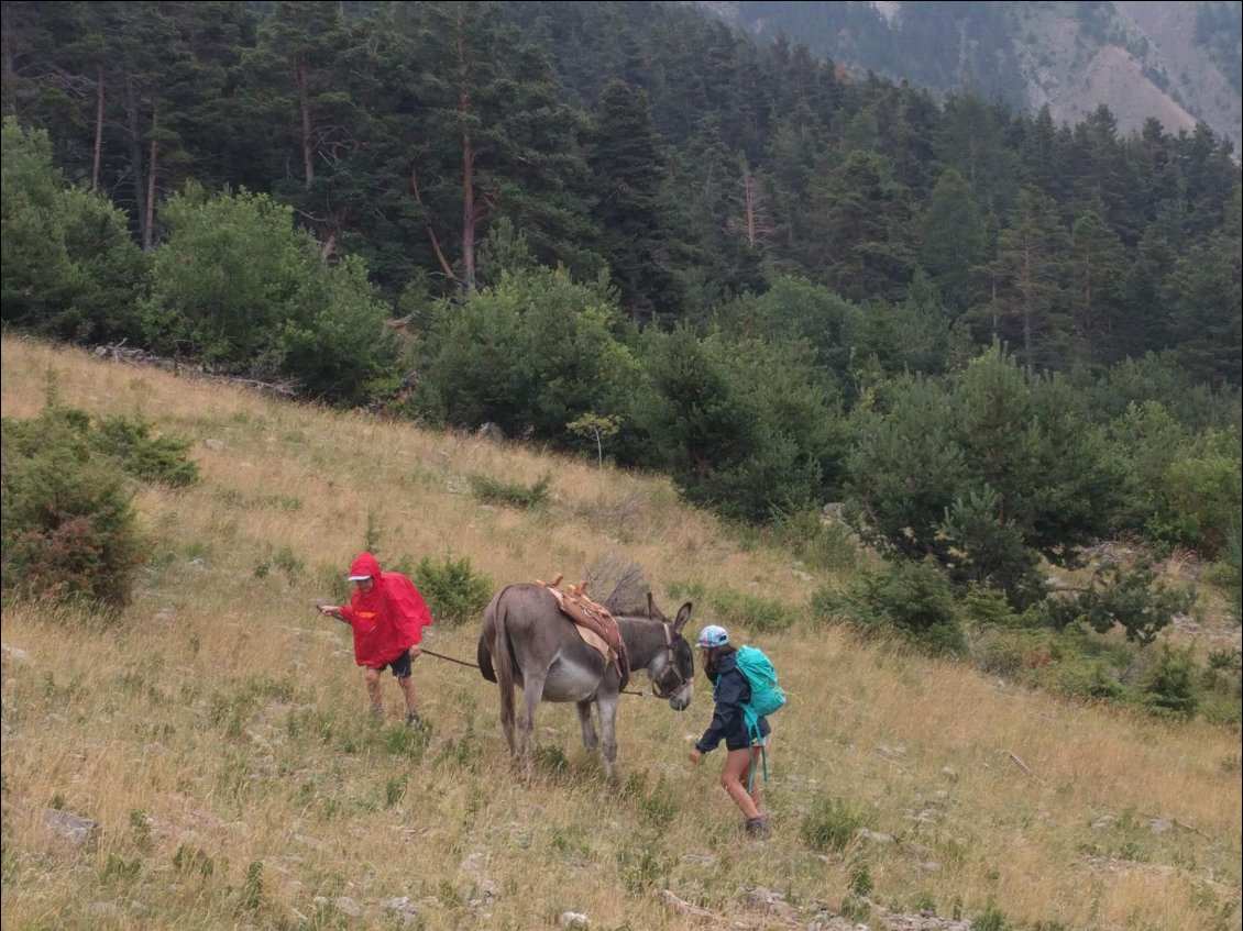Couverture de Trek en montagne en famille avec un âne